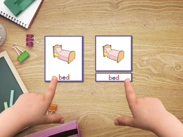 CVC 3-Part Card