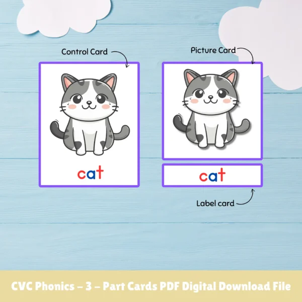 Consonant-Vowel-Consonant